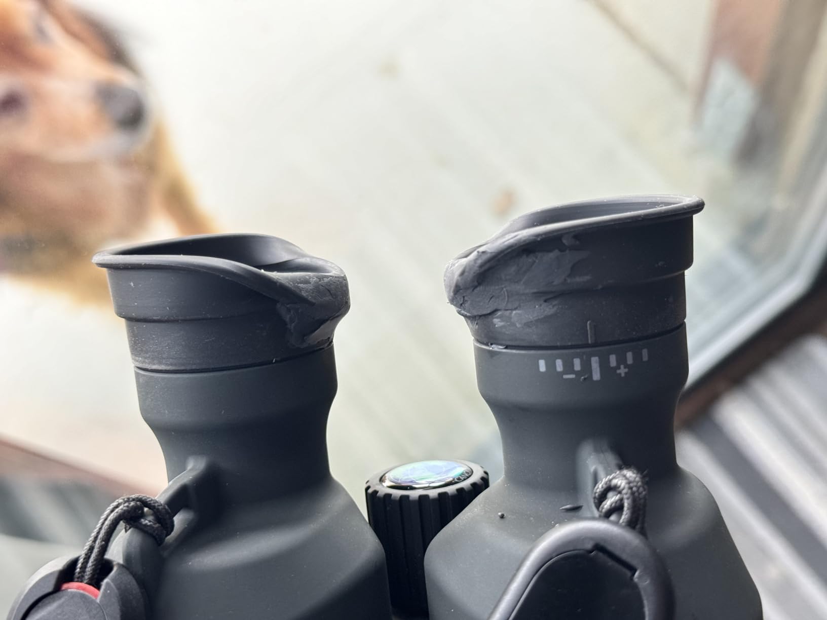 Canon 18x50 IS All Weather Image Stabilized Binoculars | 18x/50mm Optics, Image Stabilizer, Water-Resistant, Accepts 58mm Filters, Includes Soft Case, Strap and 2 Aa Batteries customer photo 1