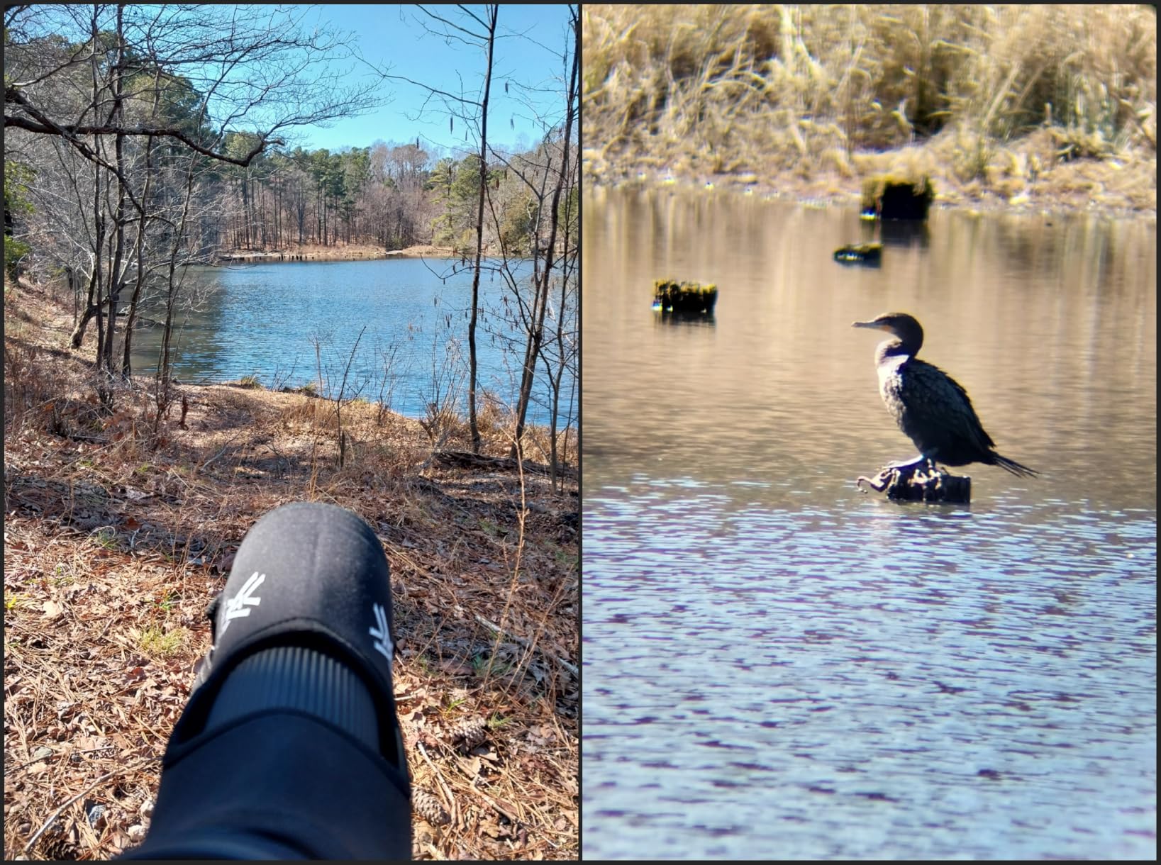 Vortex Diamondback HD Spotting Scope 16-48x65 Angled | HD Optics, Fully Multi-coated Lenses, Helical Focus, Arca-Swiss Compatible customer photo 1