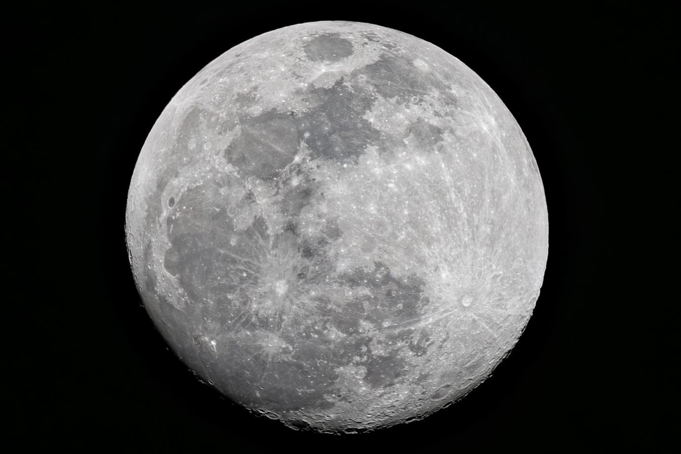 Canon RF 600mm f/11 is STM Lens customer photo 2