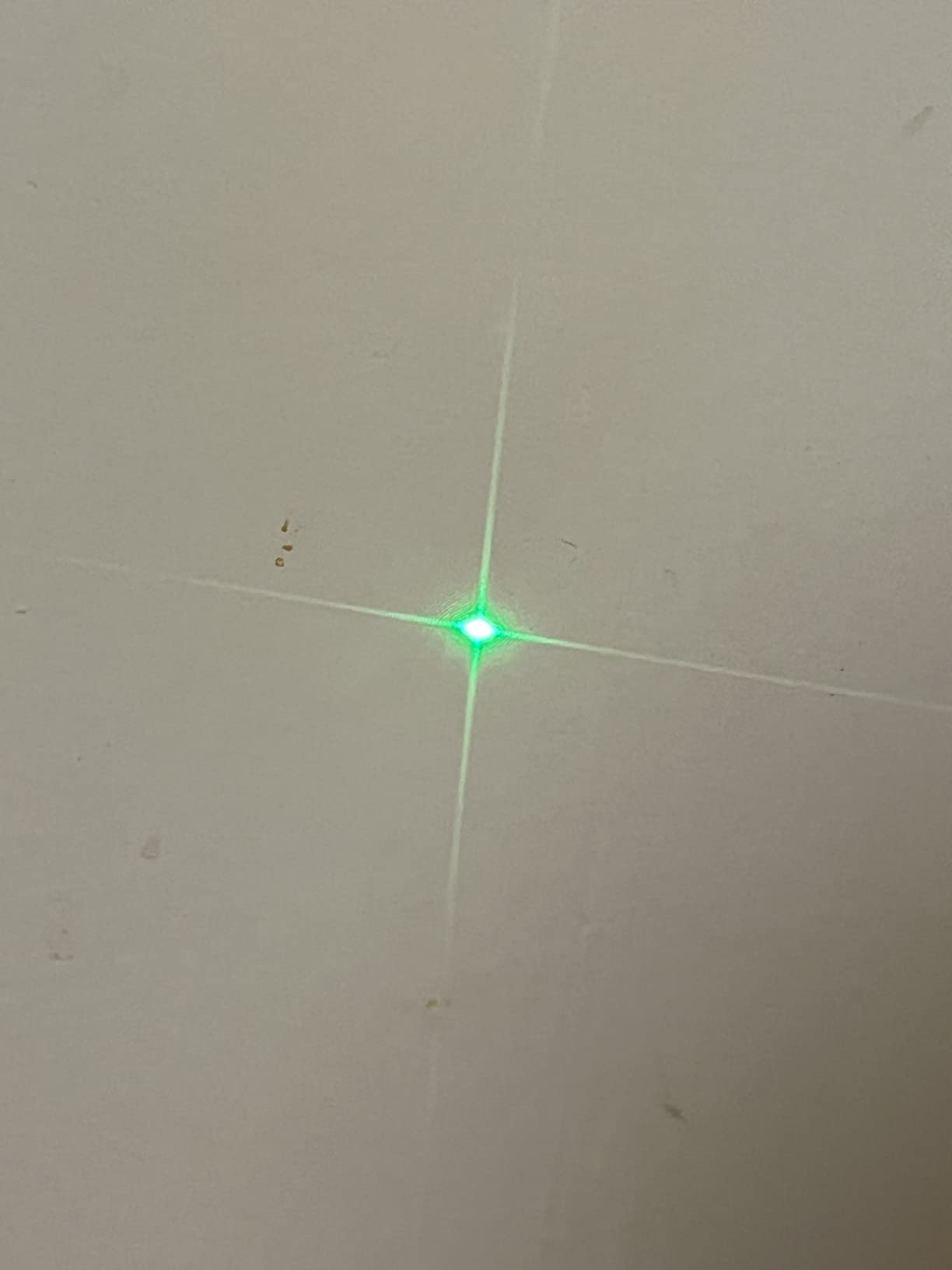 BOSCH GPL100-30G Green-Beam Self-Leveling Alignment Laser customer photo 1