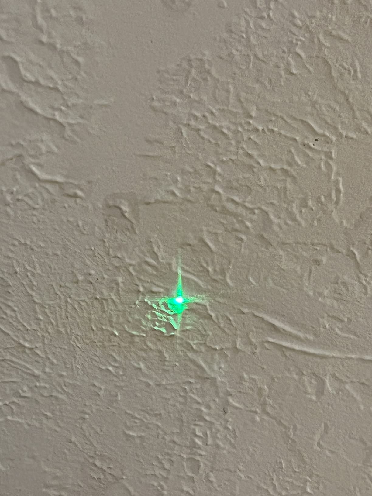 BOSCH GPL100-30G Green-Beam Self-Leveling Alignment Laser customer photo 2