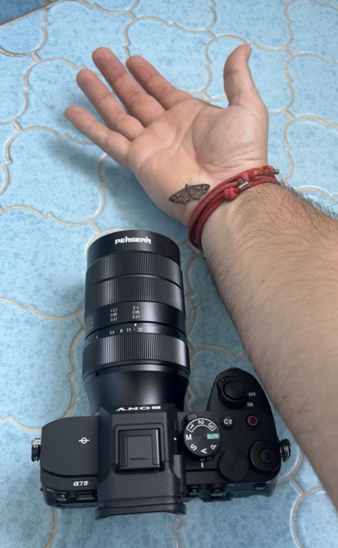 PERGEAR 60mm F2.8 II Ultra-Macro Lens with 2X Magnification, Compatible with Sony E-Mount Mirrorless Cameras customer photo 1