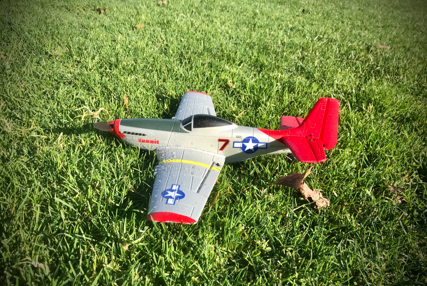 volantexrc RC Plane, 4CH Remote Control Airplane for Beginners & Adults | P51D Mustang Fighter RTF, 6-Axis Gyro, 3 Modes, Easy to Fly, 2.4GHz Radio Controlled Aircraft, Blue customer photo 2