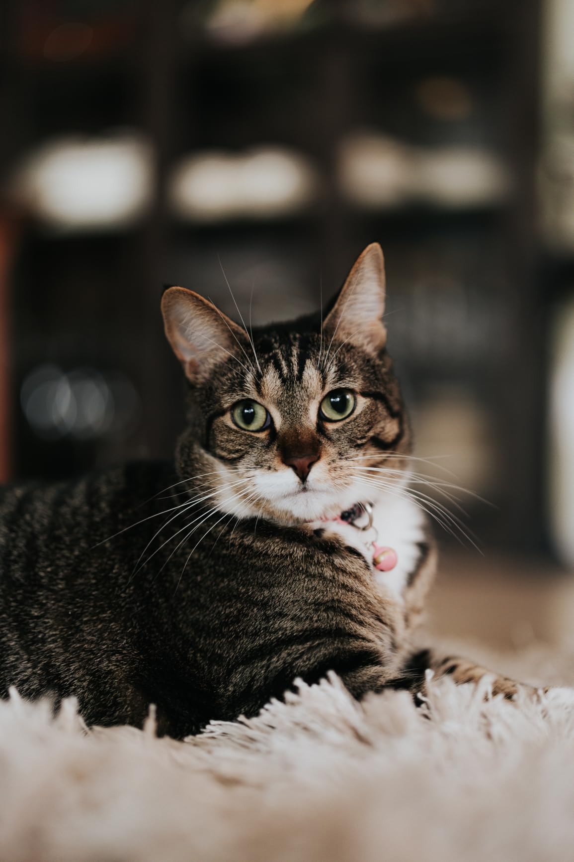 Sony FE 50mm F1.4 GM Lens (Sony E) customer photo 1