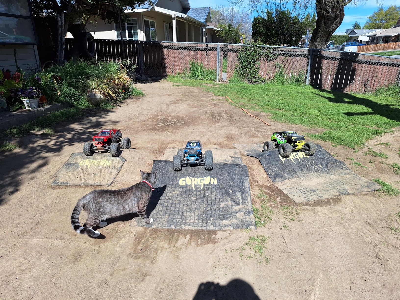 ARRMA Gorgon 2 Wheel Drive MT 1/10 RTR Monster Truck with Smart 3300 7C S120 USB Battery and Charger Included, ARA3230ST2 customer photo 2