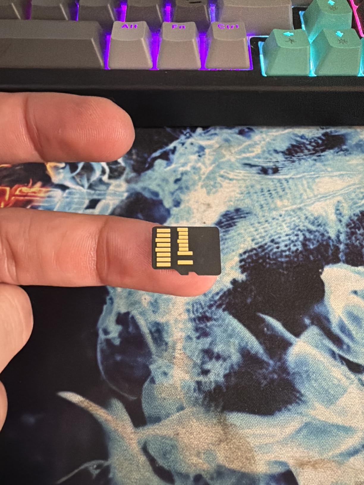 Lexar 256GB Professional Gold Micro SD Card, UHS-II, C10, U3, V60, A1, Full HD, 4K, Up to 280/180 MB/s microSDXC Memory Card customer photo 2