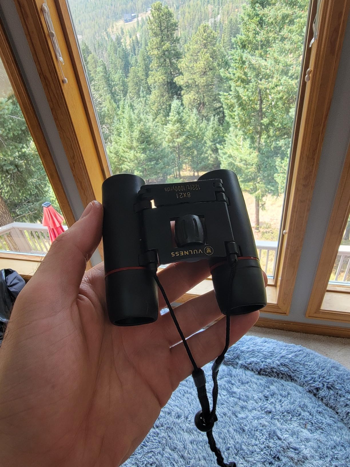 Binoculars for Adults | Compact Small Mini Travel Binocular for Bird Watching High Powered Electronics Cruise Ship Essentials Norwegian Alaska Must Haves Hiking Camping Gear a by VULNESS (Black, 8X21) customer photo 2