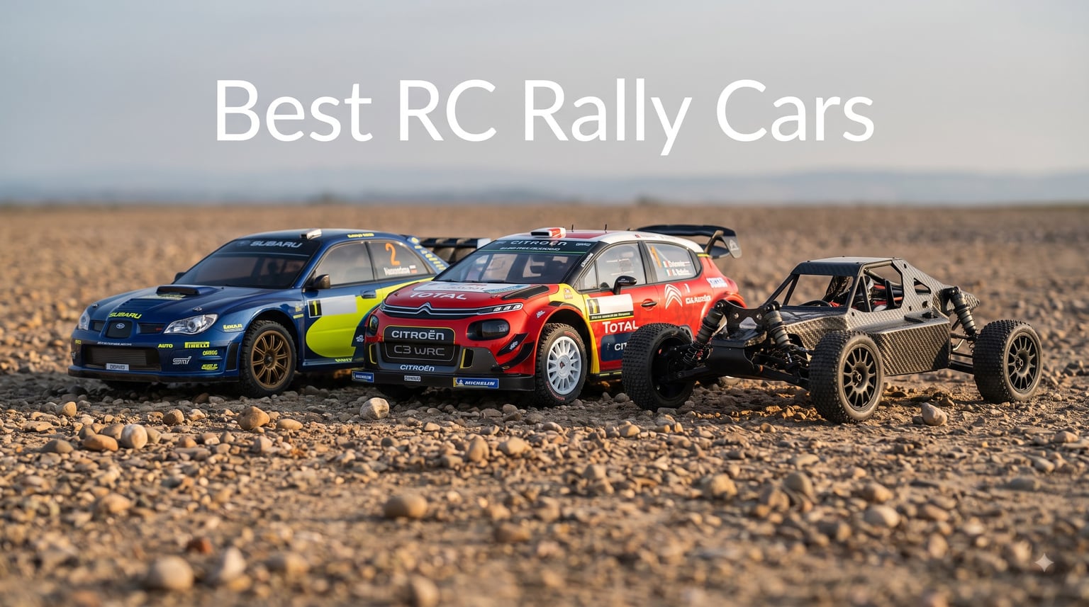 Best RC Rally Cars