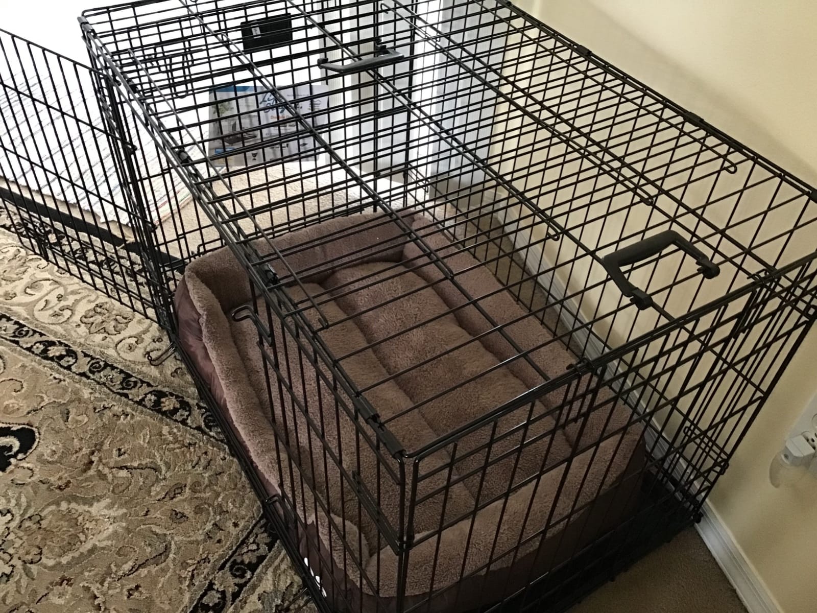 LifeStages by MidWest 48-Inch Double Door Crate, XL Breeds, 90-110 lbs | Folding Dog Crate with Divider Panel, Leak-Proof Tray & Secure Latch, Heavy-Duty & Easy to Assemble customer photo 2