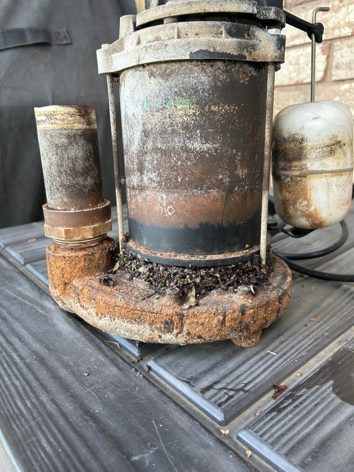 WAYNE CDU800 1/2 HP Submersible Sump Pump - Cast Iron & Stainless Steel, Vertical Float Switch, 5,100 GPH, 3-Year Warranty customer photo 1