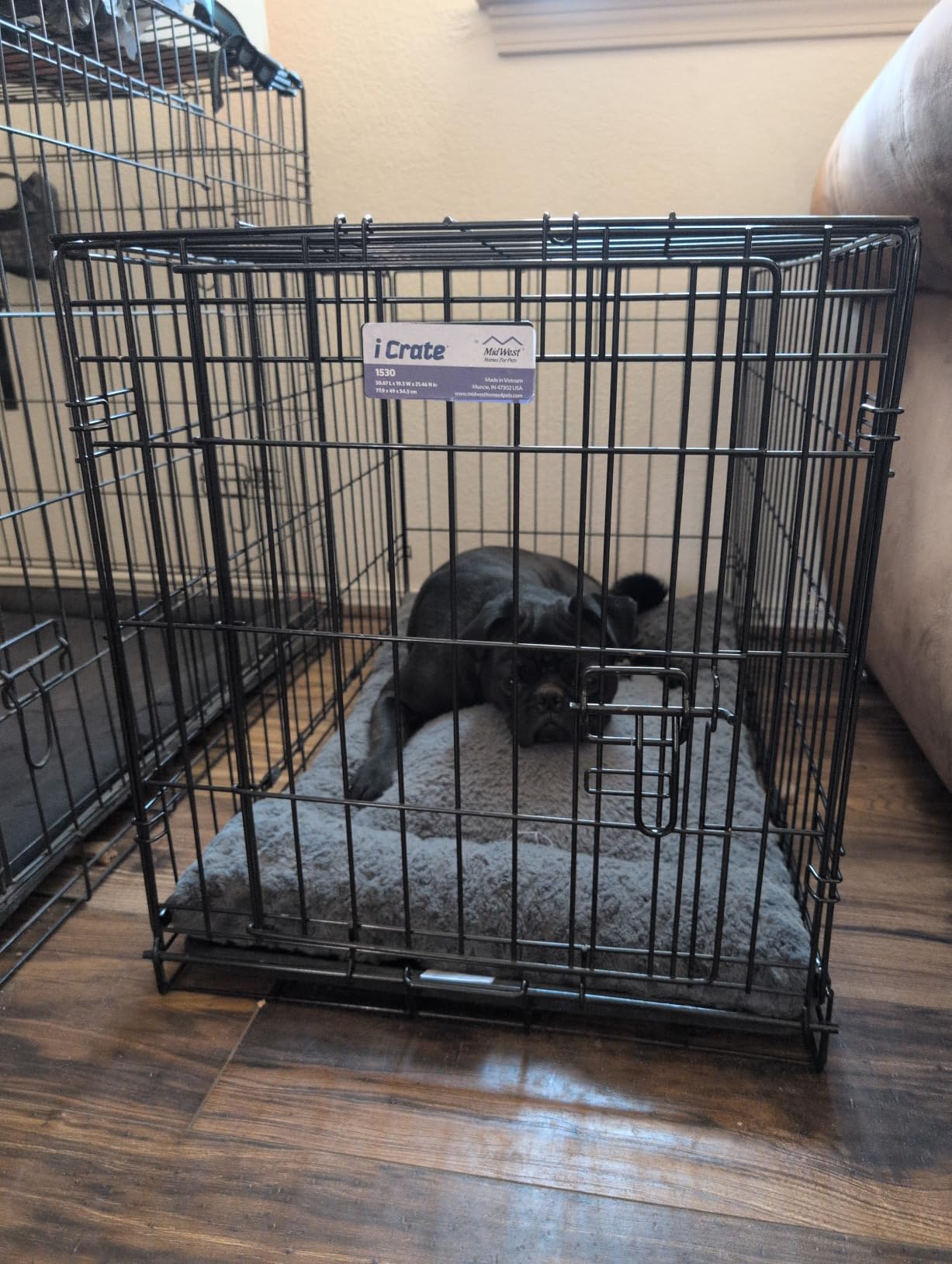 Midwest 48-Inch Single Door iCrate, for Extra-Large Breeds, 90-110 lbs | Folding Dog Crate with Divider Panel, Leak-Proof Tray & Secure Latches, Portable, Durable & Easy to Assemble customer photo 1