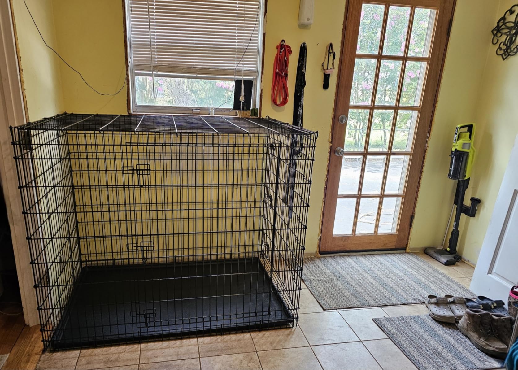 MidWest 48-Inch Double Door iCrate, for Extra-Large Breeds, 90-110 lbs | Folding Dog Crate with Divider Panel, Leak-Proof Tray & Secure Latches, Portable, Durable & Easy to Assemble customer photo 2