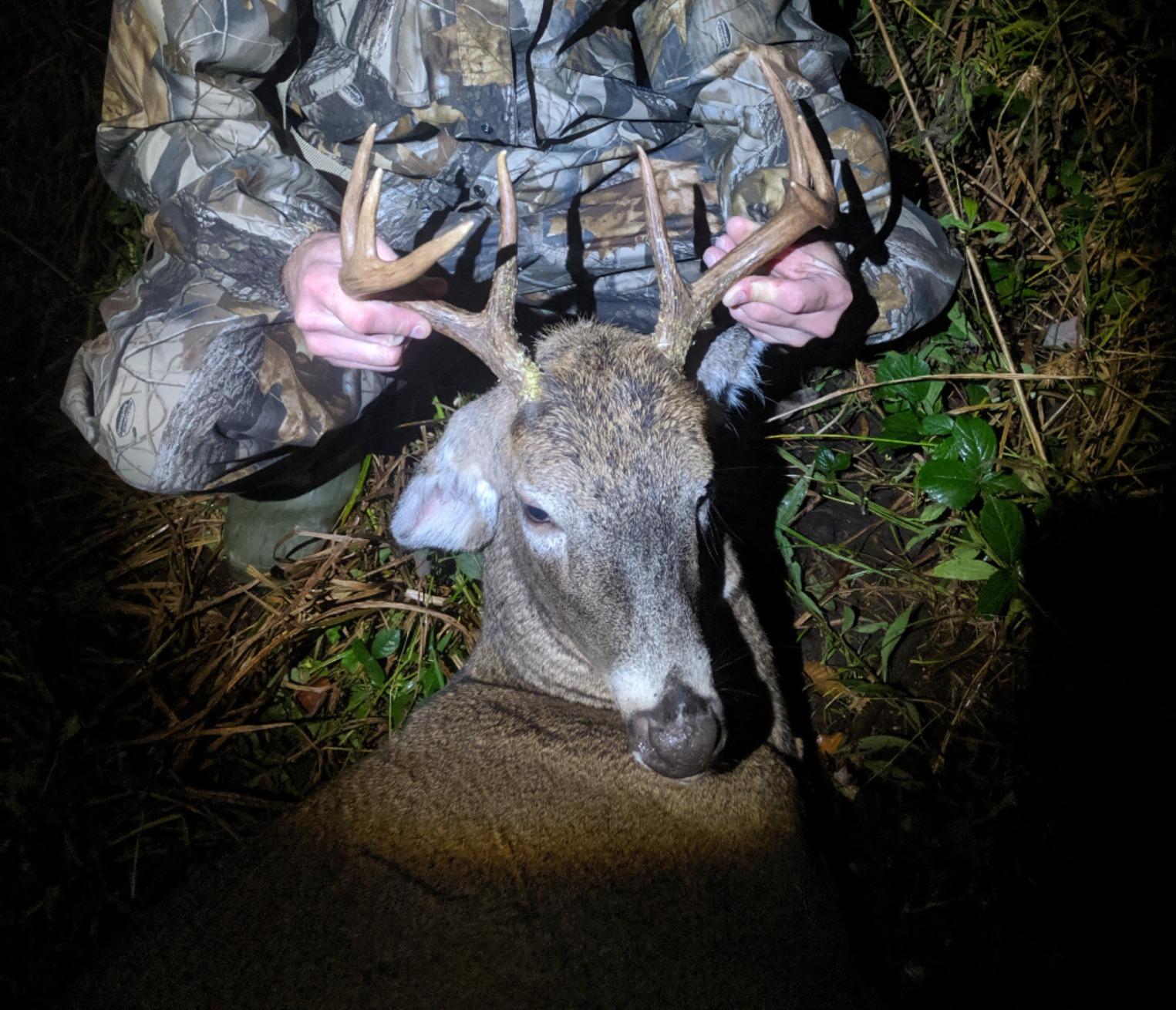 MONTANA DECOY 23 Dreamy Doe Whitetail Decoy, Brown customer photo 2