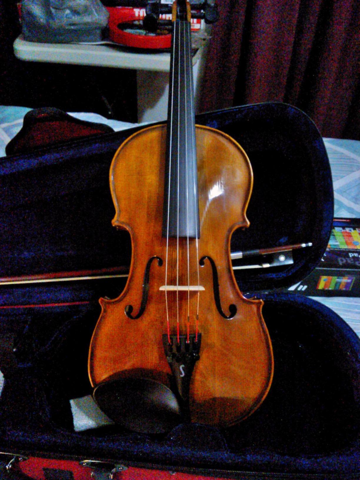 Stentor 1500 4/4 Violin customer photo 2