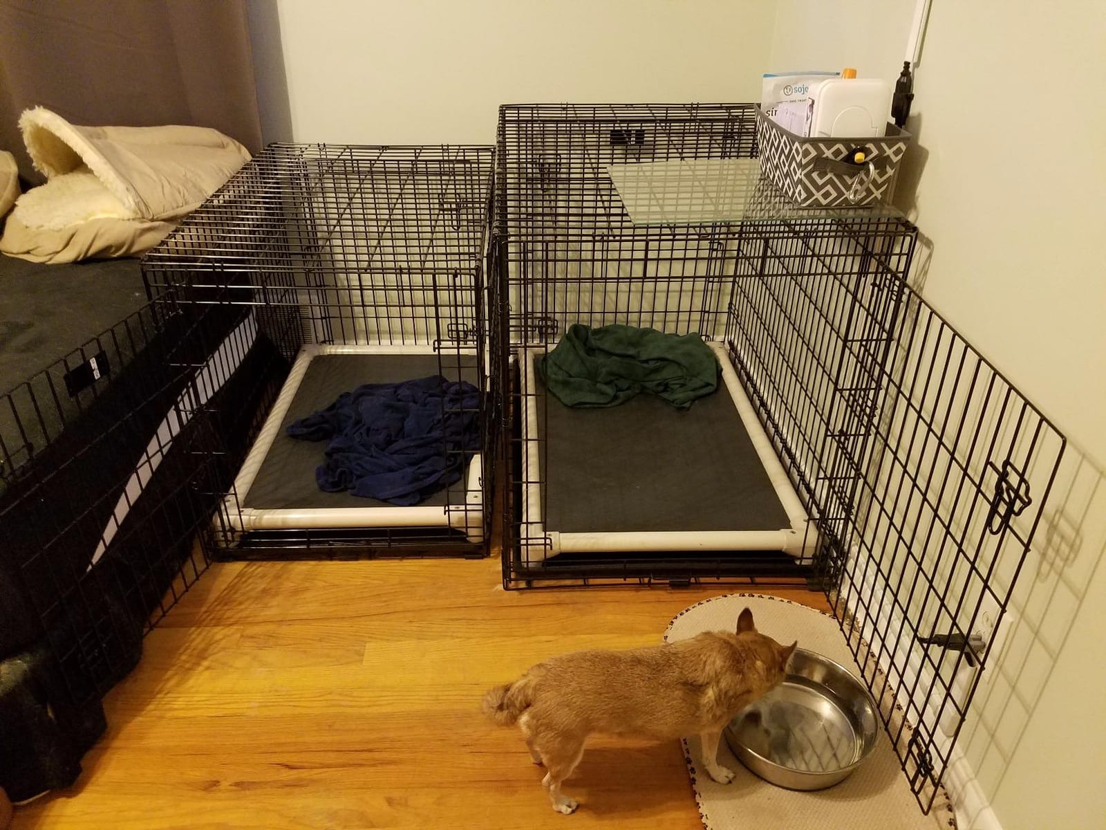 MidWest Homes for Pets Ultima Pro Heavy-Duty 42-Inch Dog Crate, Ultra-Strong Steel Double Door Pet Cage for Large Breeds, Accessories Included customer photo 2