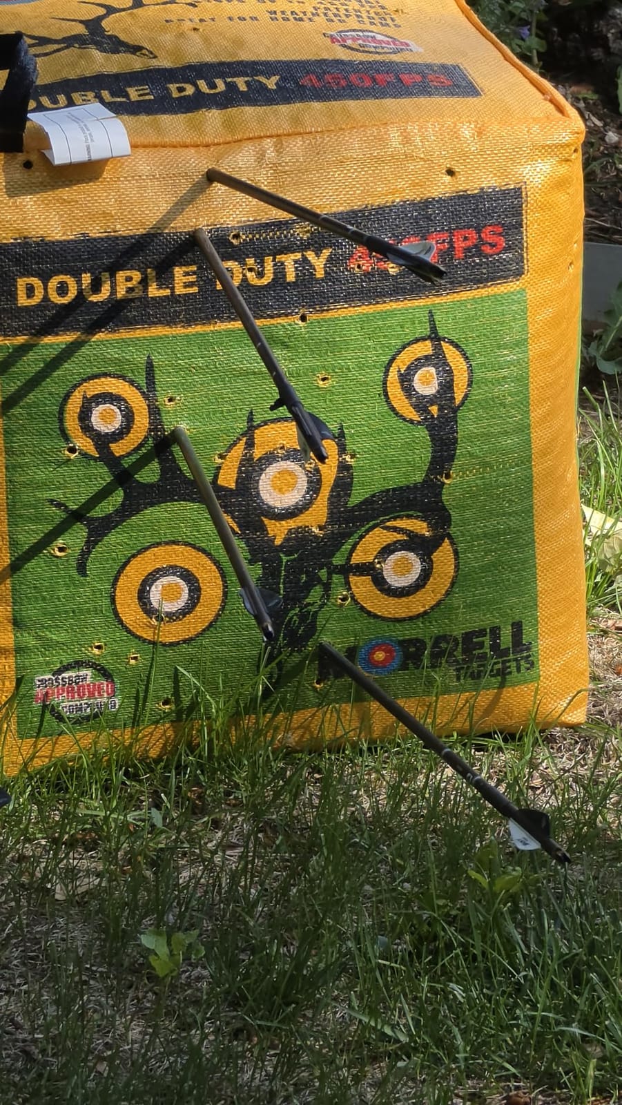 Morrell Double Duty 450 FPS Cube Field Point Archery Bag Target, Yellow customer photo 2