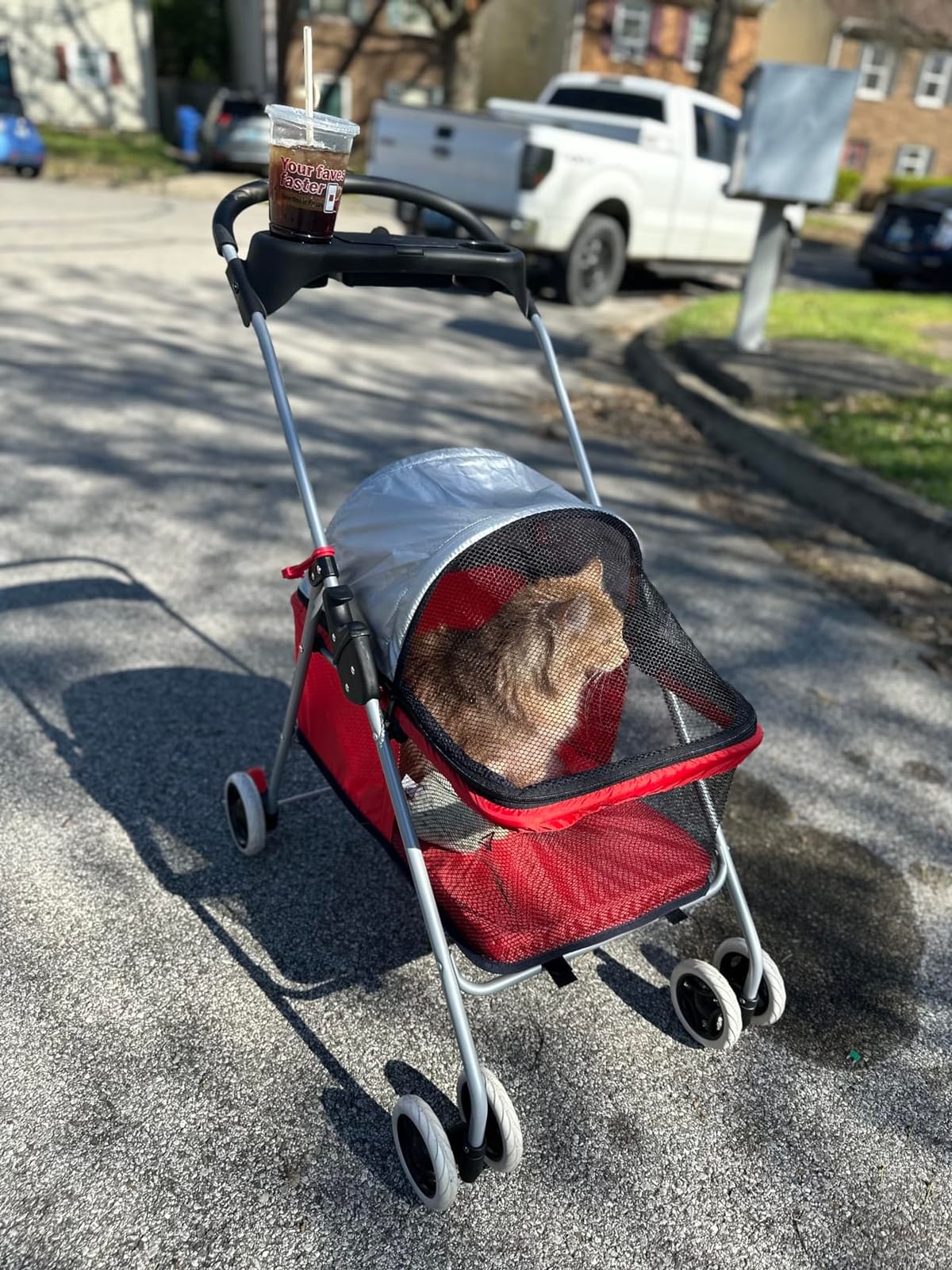 BestPet Foldable Pet Stroller for Small/Medium Dogs and Cats Up to 33 lbs | 4-Wheel Stroller Pet Strolling Cart w/ Breathable Mesh, Lockable Rear Wheels, Cup Holder/Tray & Storage Box, Blue customer photo 1