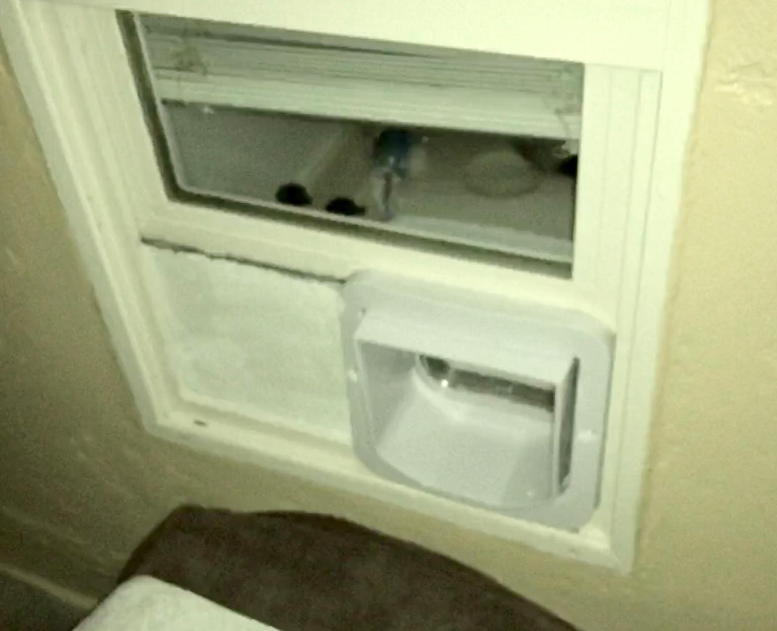 SureFlap - Sure Petcare Microchip Cat Flap, White, Scans Pet's ID on Entry, Flap Opening is 4 3/4