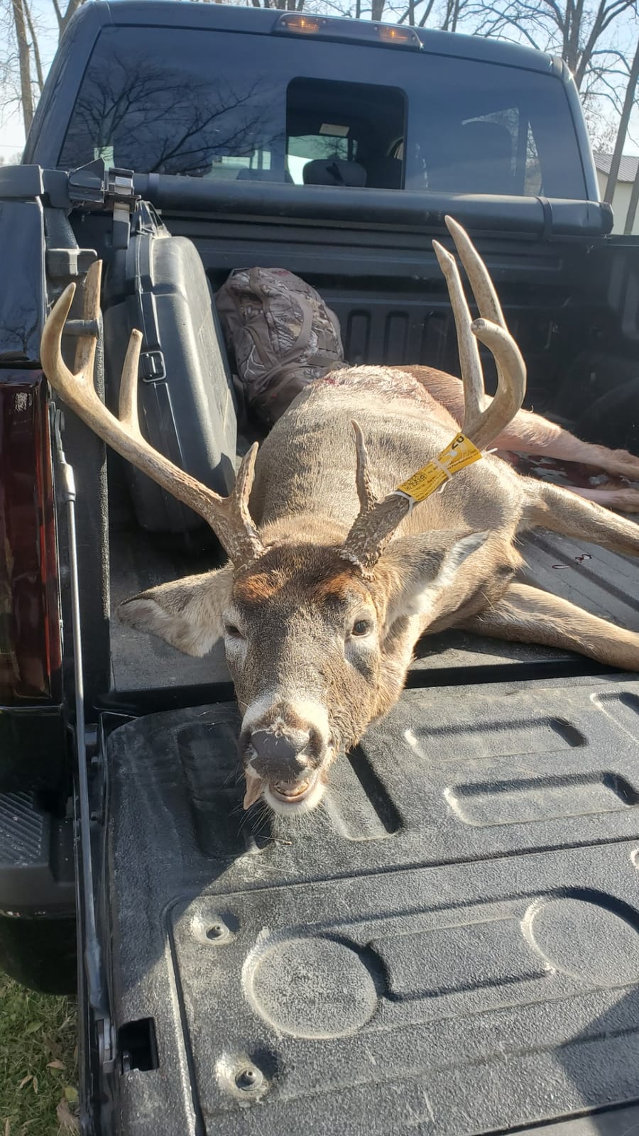 Montana Decoy Dream Team Buck and Doe customer photo 1