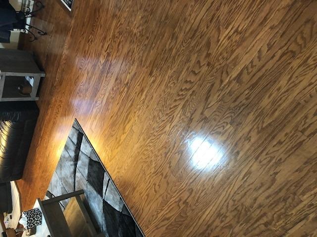 Oreck Orbiter All-In-One Hard Floor Cleaner Machine, For All Flooring Types | Multi Purpose Floor Cleaning Machine, Random Orbit Power for Fingertip Control, Versatile and Low Maintenance customer photo 1