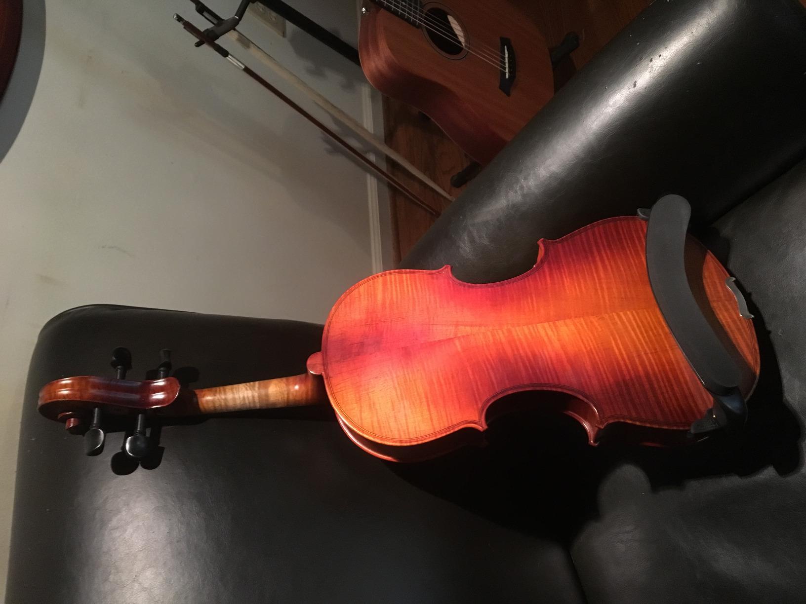 Cecilio Solid Wood Viola 15.5 Inch Viola Full Size, Professional Handcrafted Acoustic Viola with Ebony Fittings, Antique Satin Finish customer photo 1