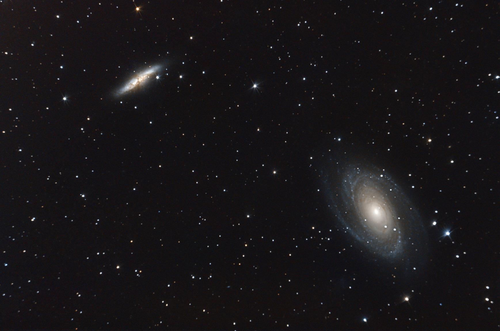 Celestron Advanced VX 8