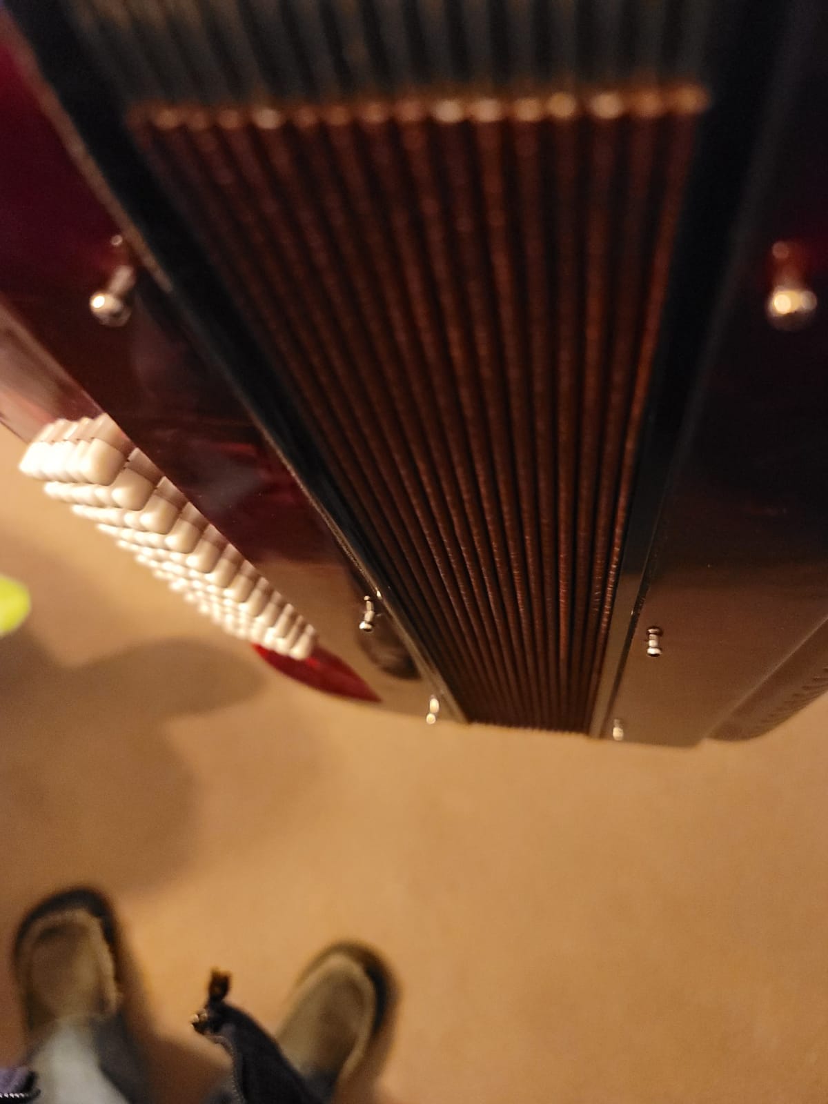 Hohner Accordions 1305-RED 72 Bass Entry Level Piano Accordion, Red customer photo 1