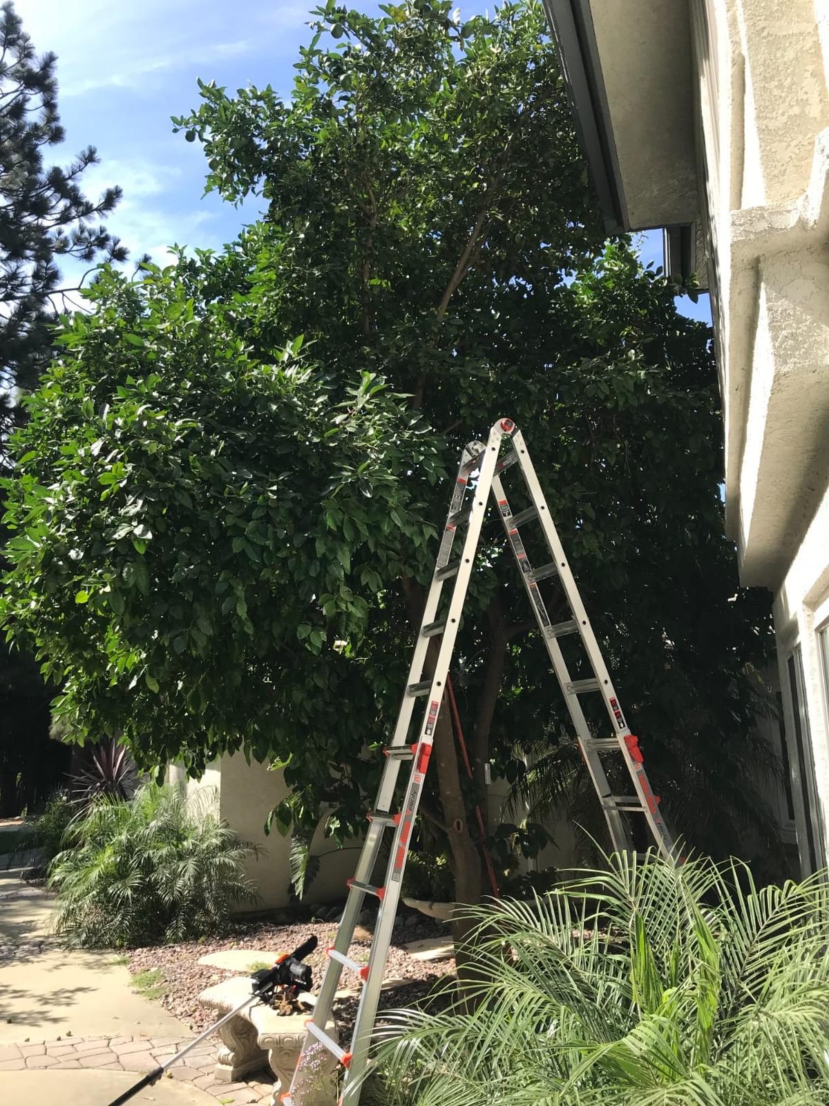 Little Giant Velocity, Aluminum Ladder, 14 ft Reach, 15413-001 | Telescoping Multi-Position Ladder with Extension, A-Frame, 90-Degree & Trestle Modes, 300 lbs. Rating customer photo 2