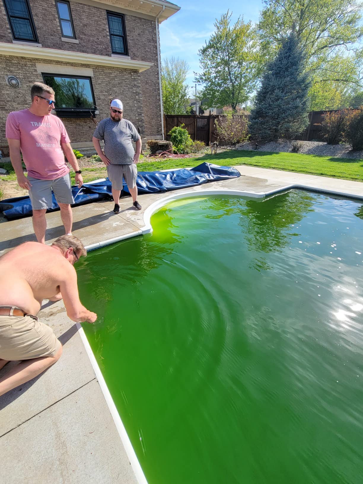 18-Year Mesh 18-ft x 36-ft In-Ground Pool Safety Cover with 4-ft x 8-ft Center Step - Blue customer photo 1