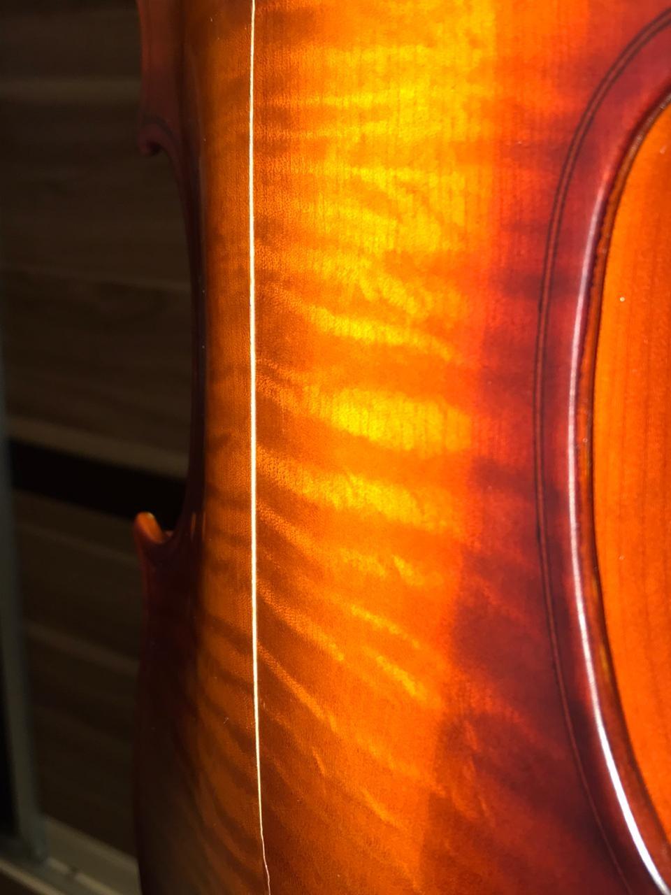 Cecilio Solid Wood Viola 16 Inch Viola Full Size, Professional Handcrafted Acoustic Viola with Ebony Fittings, D'Addario Prelude Strings, Antique Satin Finish customer photo 2