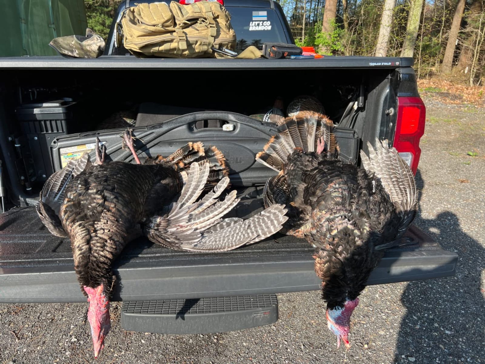 AVIAN-X LCD Feeder Hen Turkey Decoy | Durable Realistic Lifelike Collapsible Standing Hunting Decoy with Carry Bag & Stake, AVX8007 customer photo 2