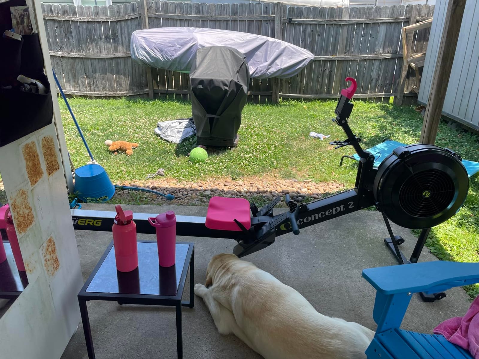 Concept2 RowErg Indoor Rowing Machine - PM5 Monitor, Device Holder, Adjustable Air Resistance, Easy Storage customer photo 1