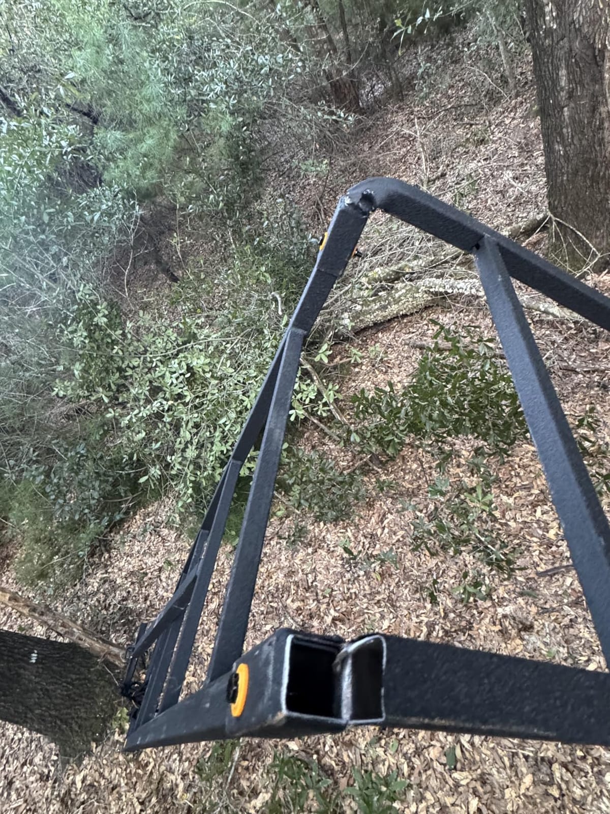 Muddy 2-Person Ladder Tree Stand for Deer Hunting, 17' Tall, Black | The Partner - Adjustable Climbing Treestand with Platform, Straps and Safety Harness for Shooting customer photo 1