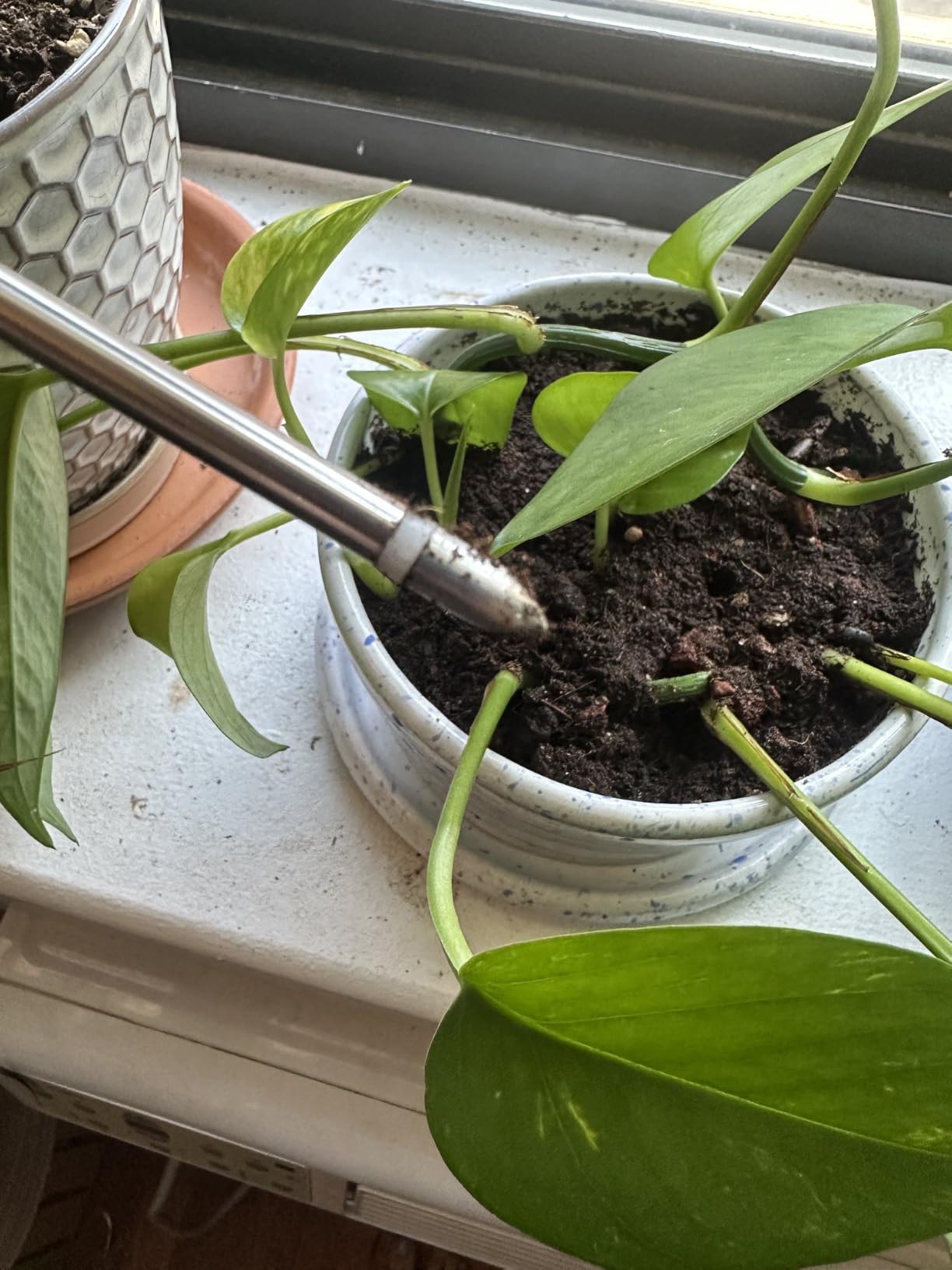 XLUX Plant Soil Moisture Meter, for Indoor and Outdoor use, Battery-Free customer photo 1