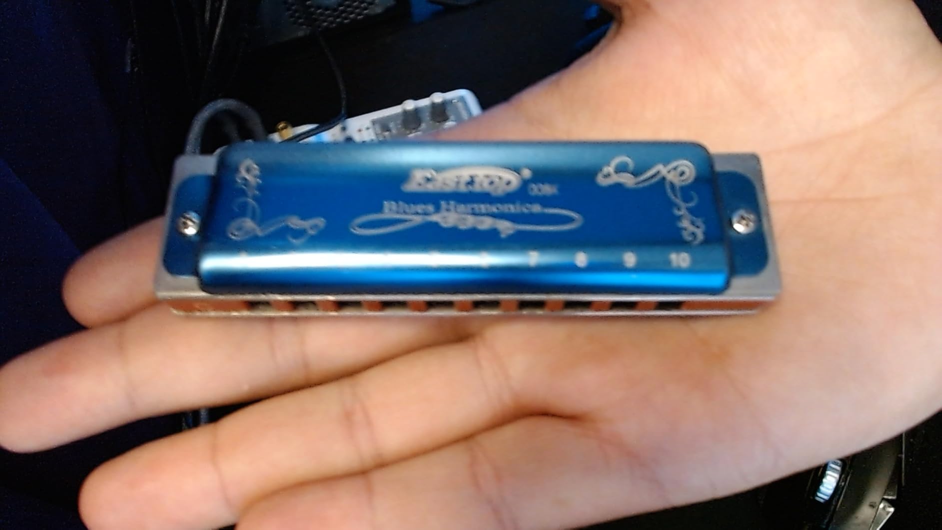 East top Harmonica Key of C, 10 Holes 008K Diatonic Mouth Organ with Blue Case customer photo 1