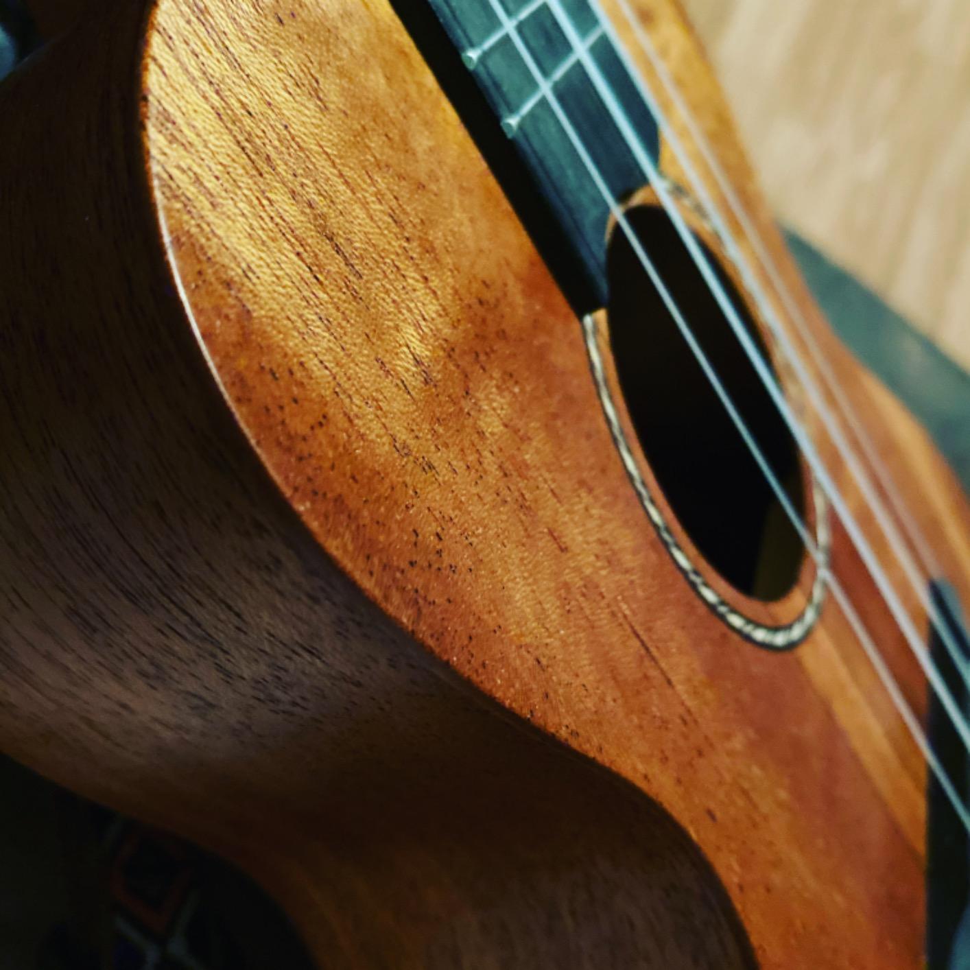 Donner Concert Ukulele Beginner Mahogany 23 Inch Ukelele Kit with Free Online Lesson Gig Bag Strap Nylon String Tuner Picks Cloth DUC-1 Gift Choice customer photo 1