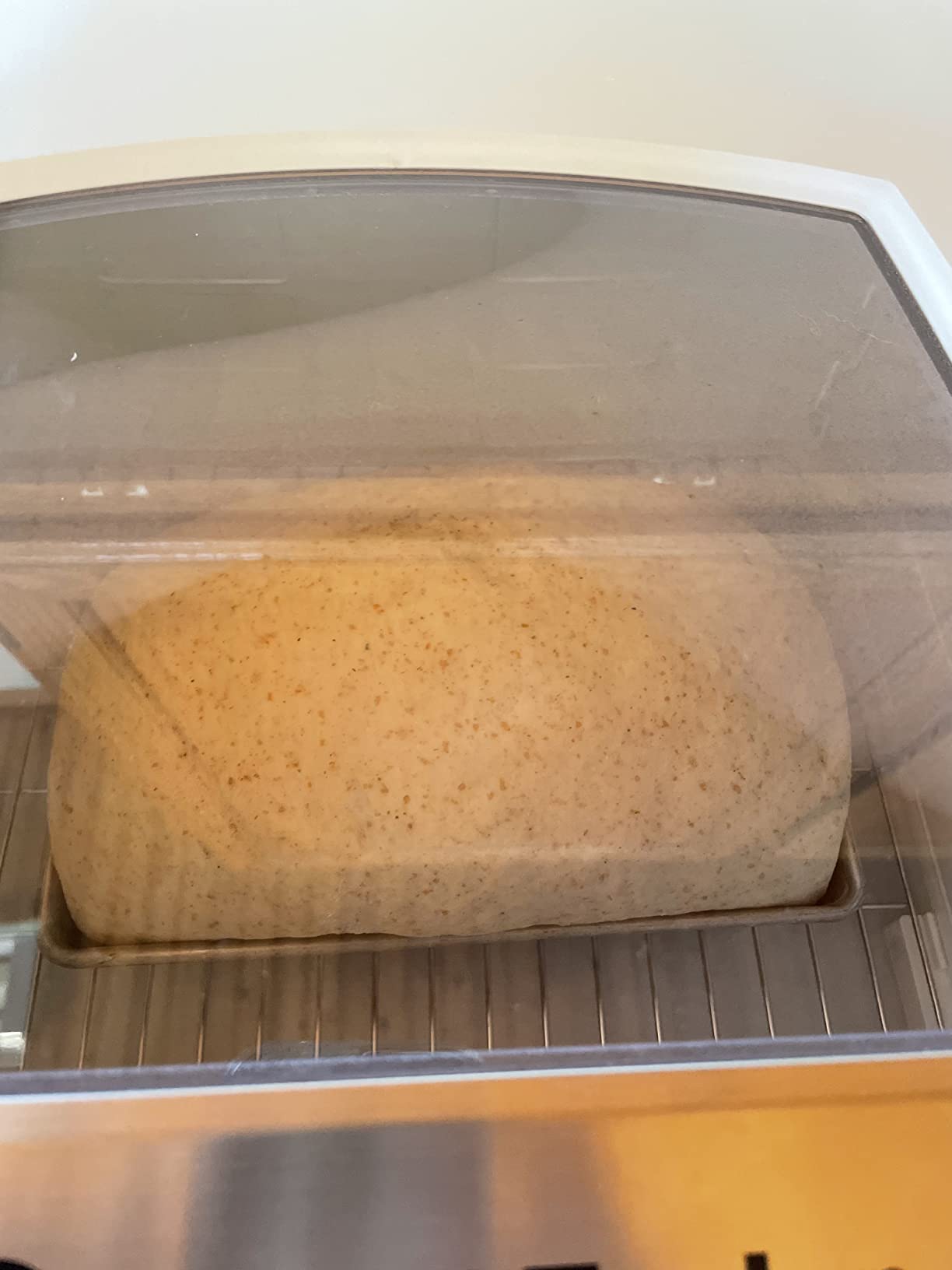 Brod & Taylor Folding Proofer & Slow Cooker (Proofer) customer photo 1