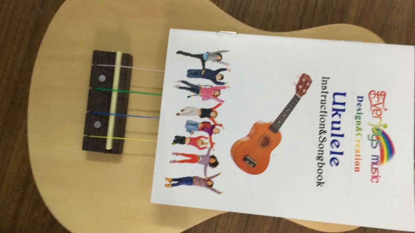 Everjoys Soprano Ukulele Beginner Kit 21 Inch w/Free Online Lesson Gig Bag Tuner Picks Strap, Fast to Learn (Rainbow String) customer photo 1