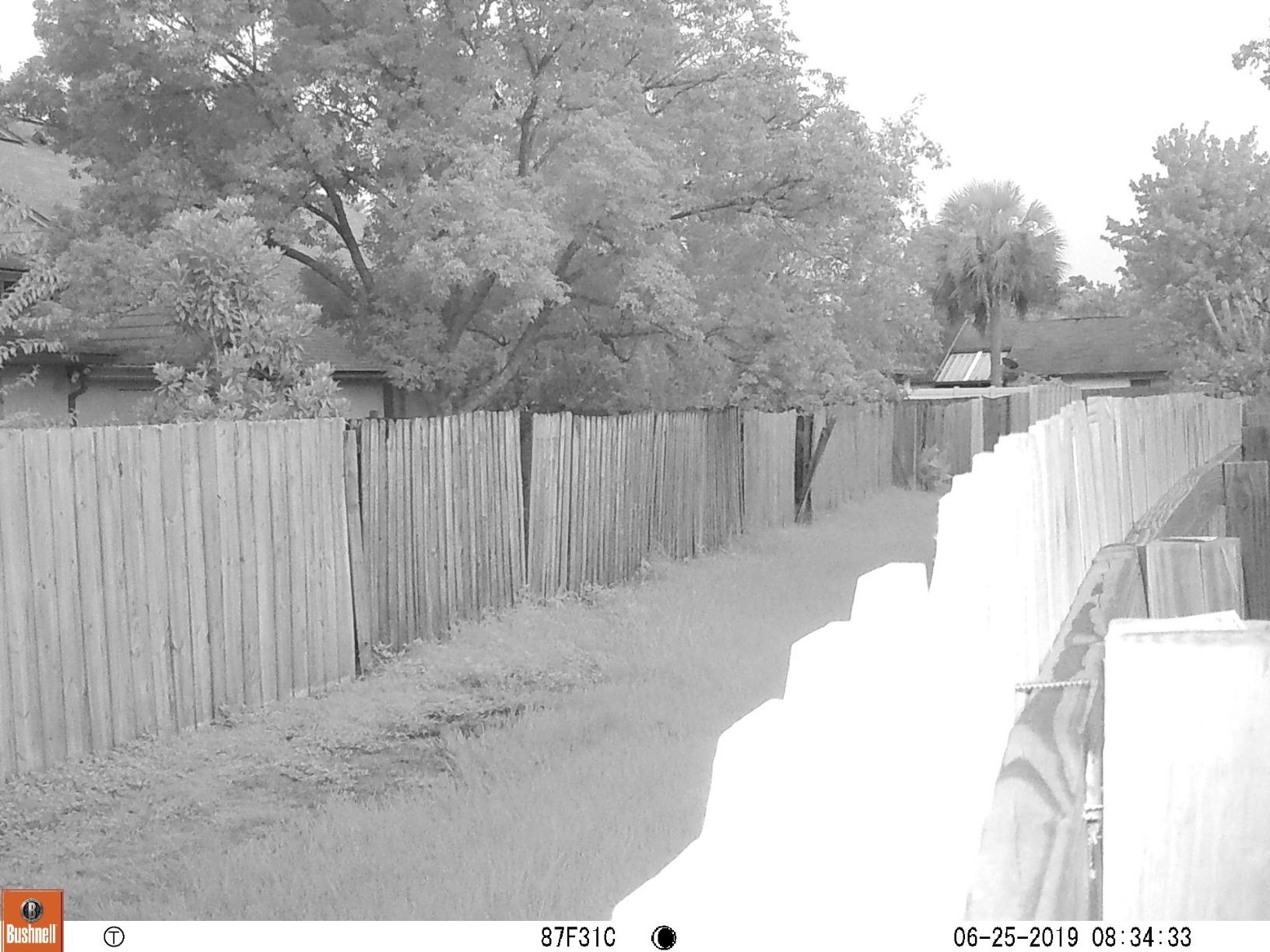 Bushnell Trophy Cam Trail Camera, Brown customer photo 1