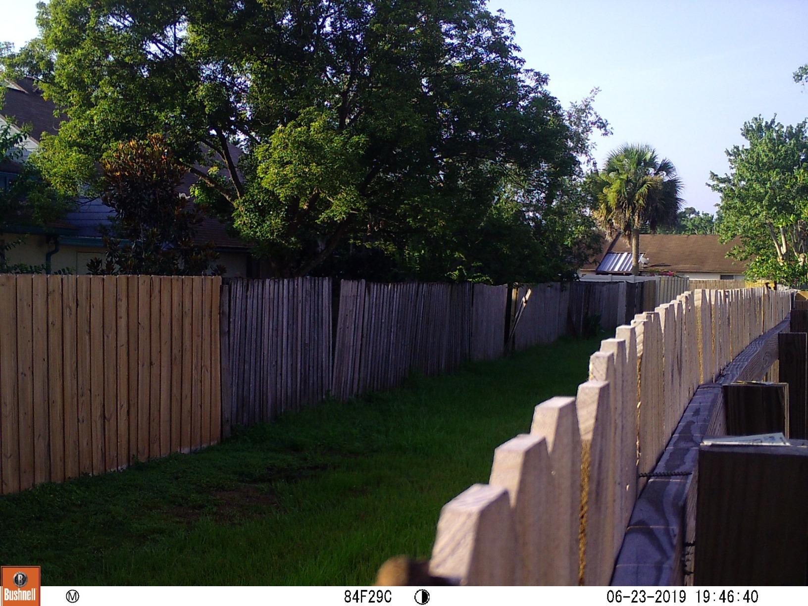 Bushnell Trophy Cam Trail Camera, Brown customer photo 2