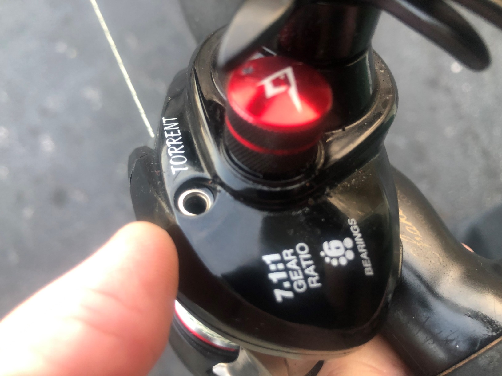 Piscifun Torrent Baitcasting Reel customer photo 2