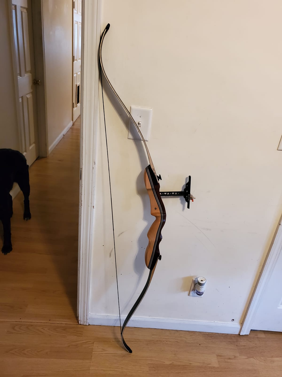 Takedown Recurve Bow and Arrow Set for Adults & Teens 62