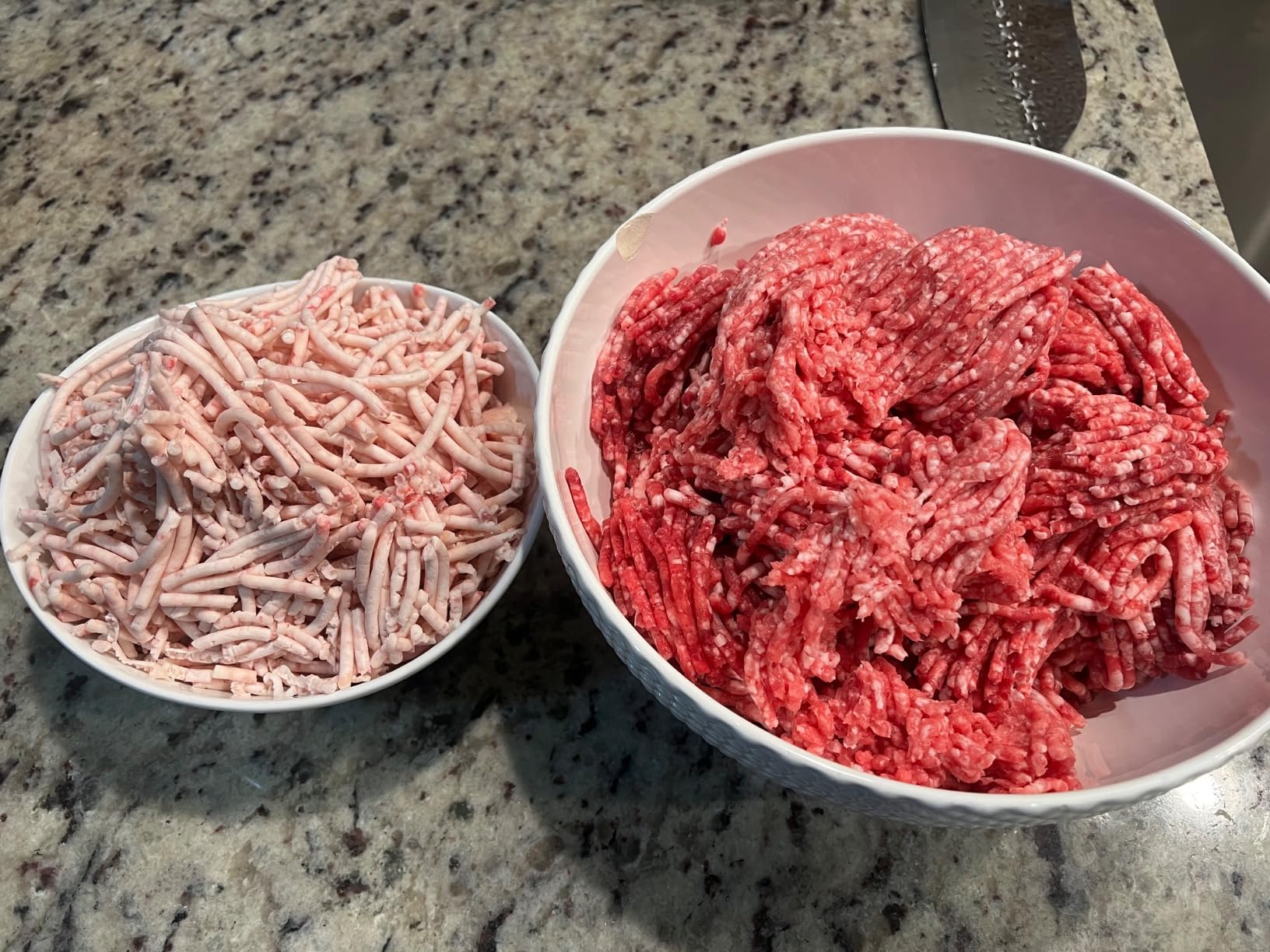 LEM Products BigBite #22 Meat Grinder, 1.0 HP, Commercial-Quality Stainless Steel customer photo 1
