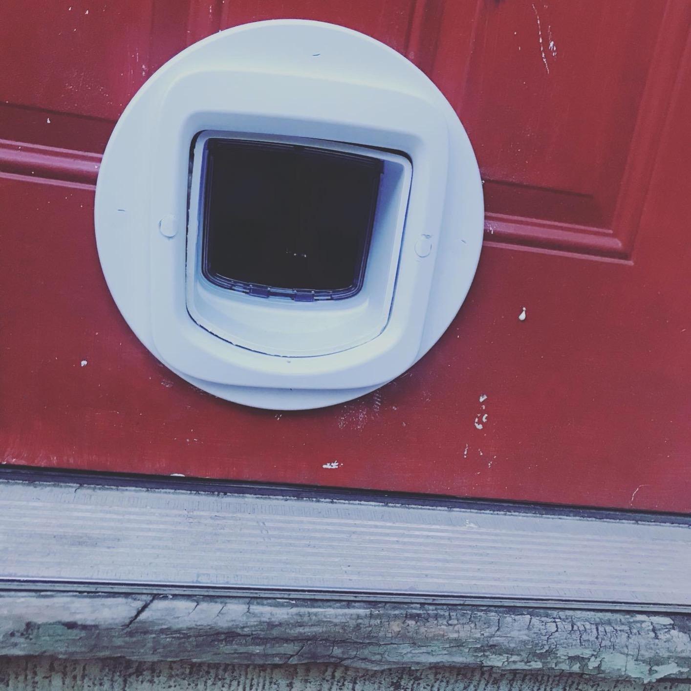 PetSafe Microchip Cat Door, Interior/Exterior, Multi-Pet, 4-Way Lock | 4-Way Lock (Locked/Unlocked/Enter/Exit Only), Reads Pet Microchip ID, Magnetic Latches Block Drafts customer photo 2