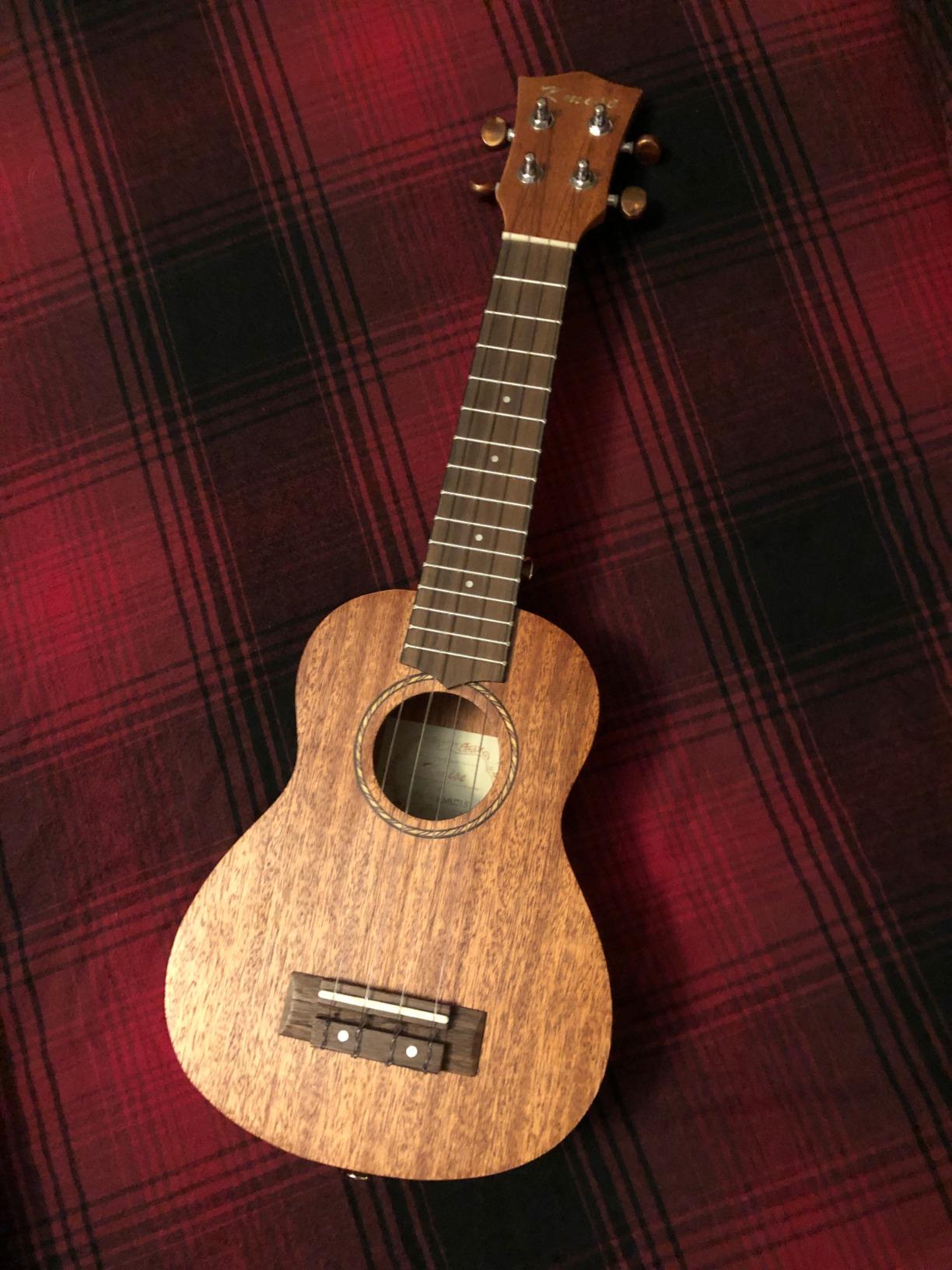 Kmise Professional Ukulele for Adult Beginner, Free Online Lesson 21 inch Soprano Mahogany Ukelele with Kids Ukele Bundle Starter Kit Gig Bag Case, Strap, Tuner, Nylon Strings, Book, Uke Gift Choice customer photo 2