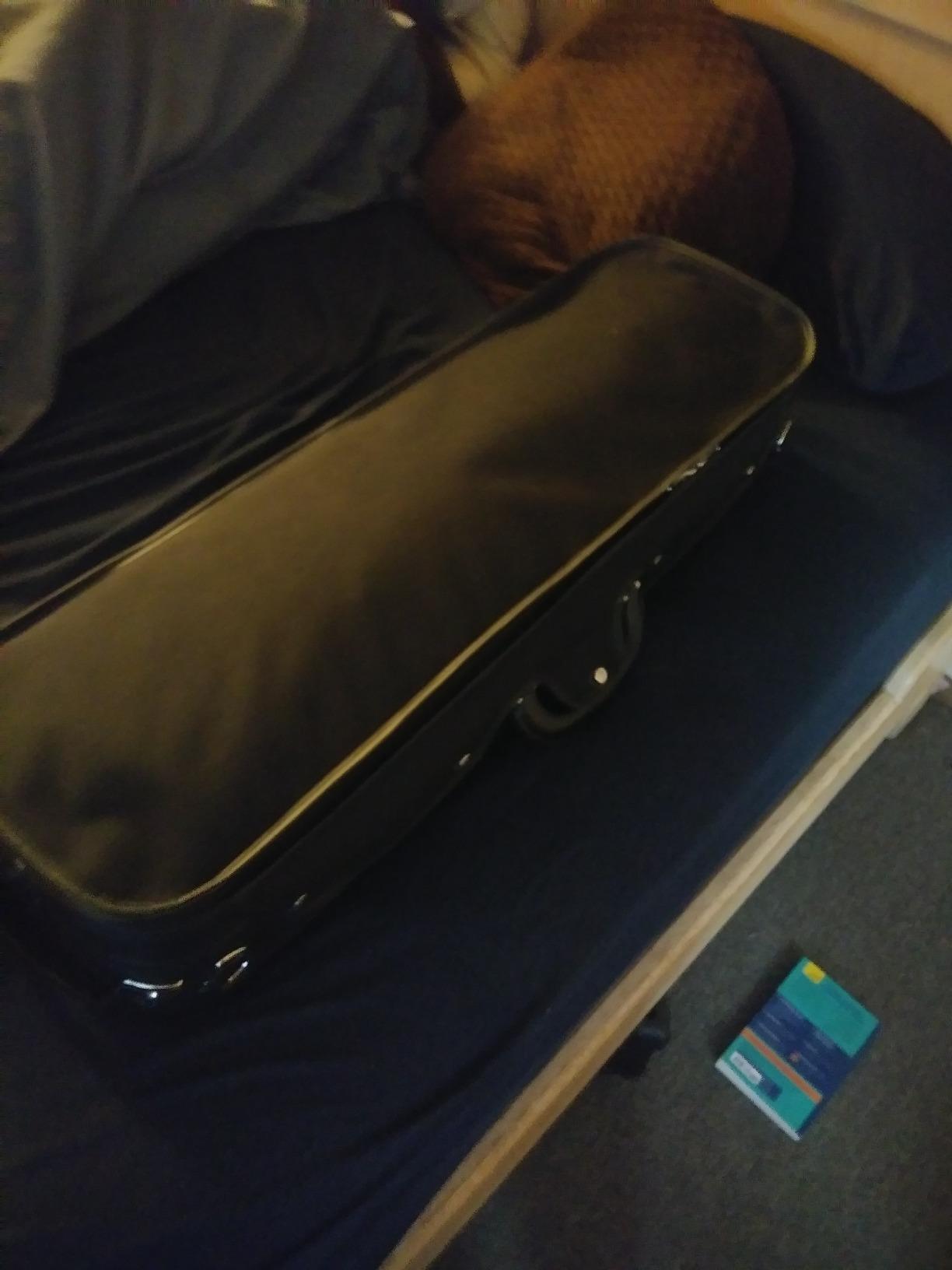 Kennedy Violins Louis Carpini G2 Violin Outfit CLEARANCE Carrying Case and Accessories Included - Solid Maple Wood and Ebony Fittings customer photo 1