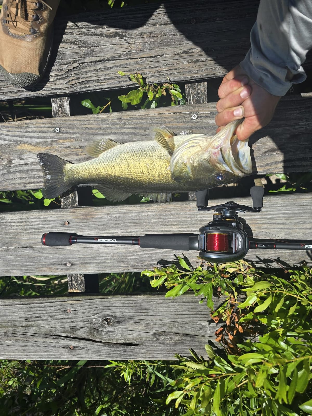 Piscifun Torrent Fishing Rod, IM6 Carbon 2-Piece Baitcaster & Spining Rod | High sensitivity detects light bites, lightweight design reduces fatigue, zirconium oxide rings ensure smooth customer photo 2