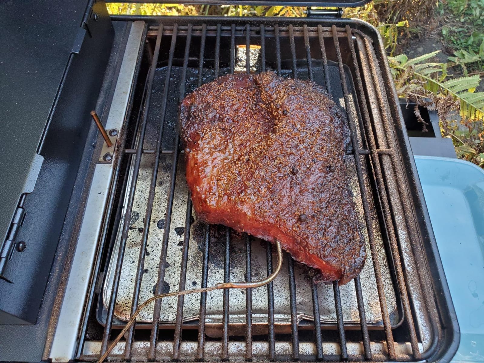 Traeger Ranger Portable Wood Pellet Grill & Smoker, Cast Iron Griddle, Digital Arc Controller, tabletop design customer photo 1