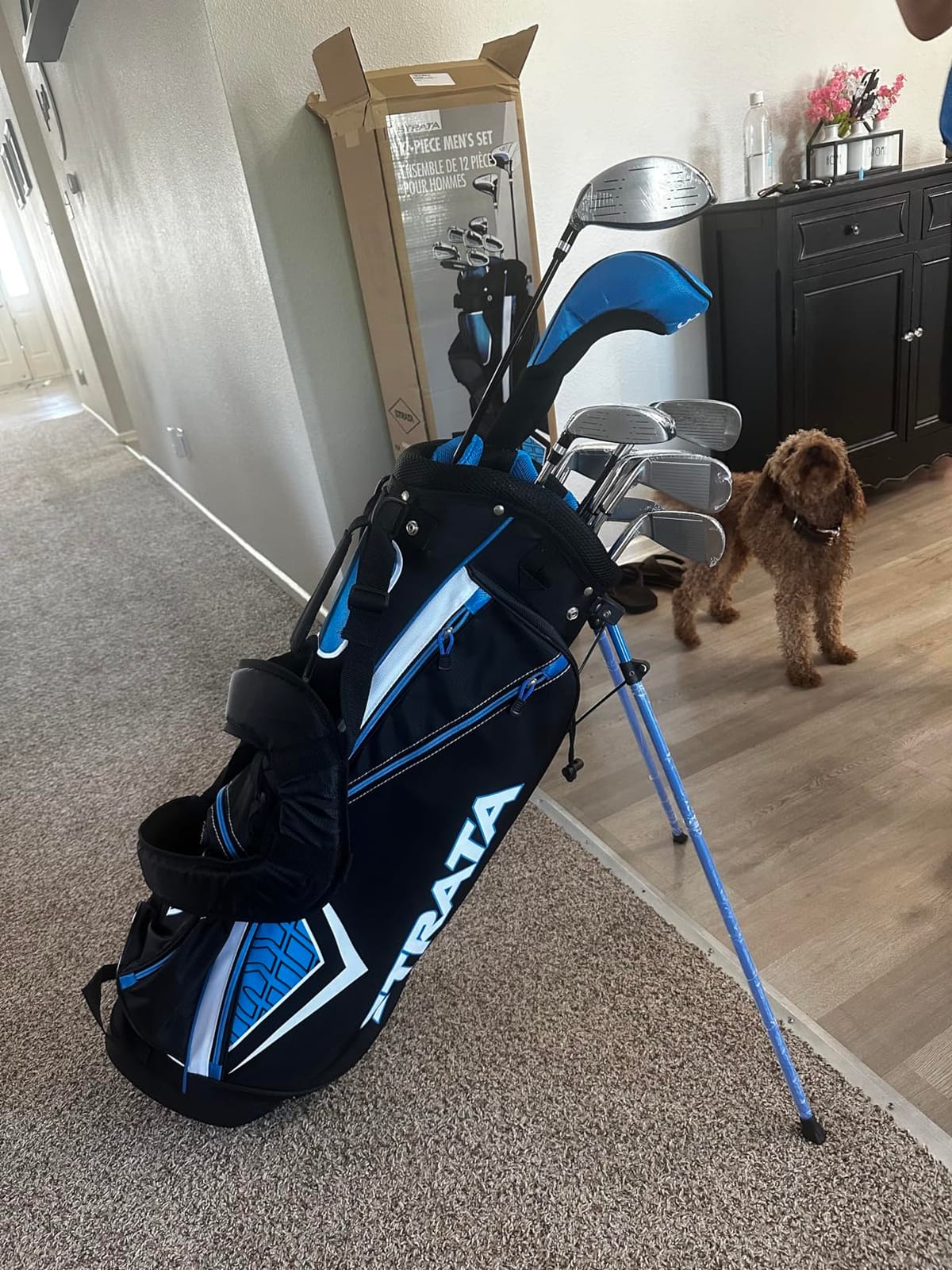 Callaway Golf Strata Complete Golf Set (Men's and Women's) customer photo 2