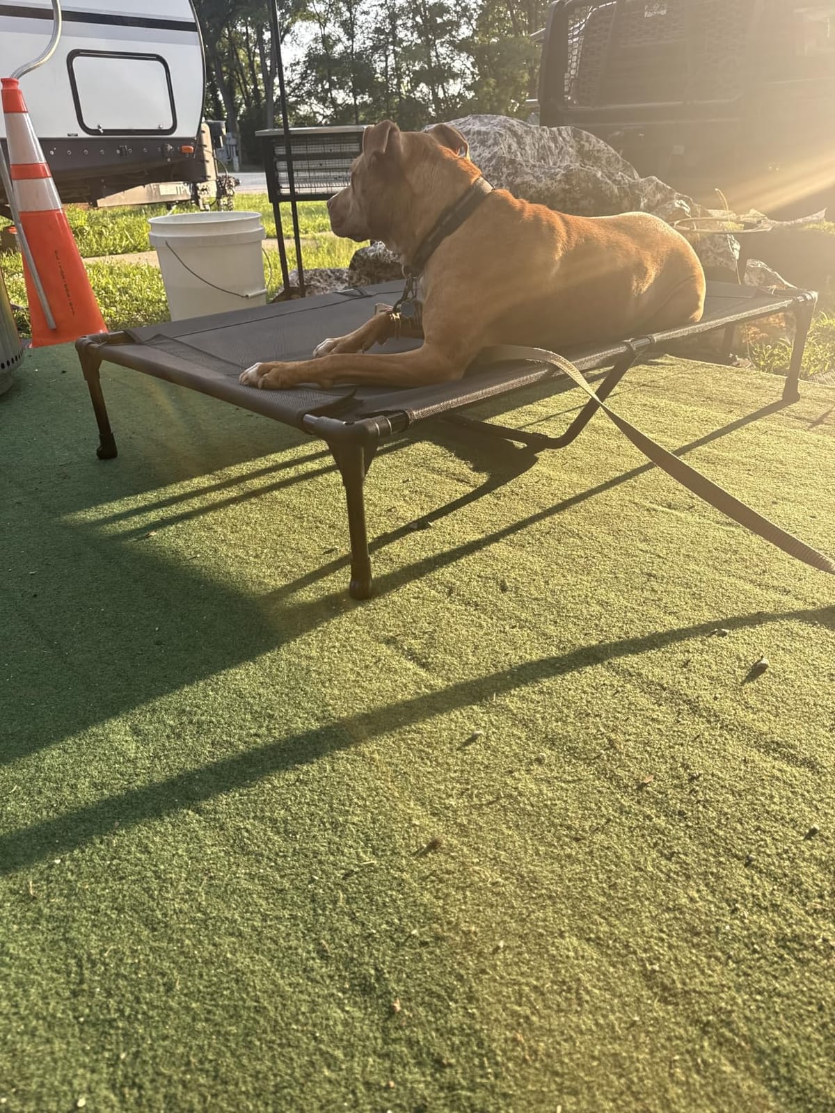 Veehoo Outdoor Elevated Dog Bed Large Sized Dogs, Cooling Raised Dog Cots | Off-ground training platform, portable camping hammock, breathable mesh, easy to clean, no-tool setup, 42